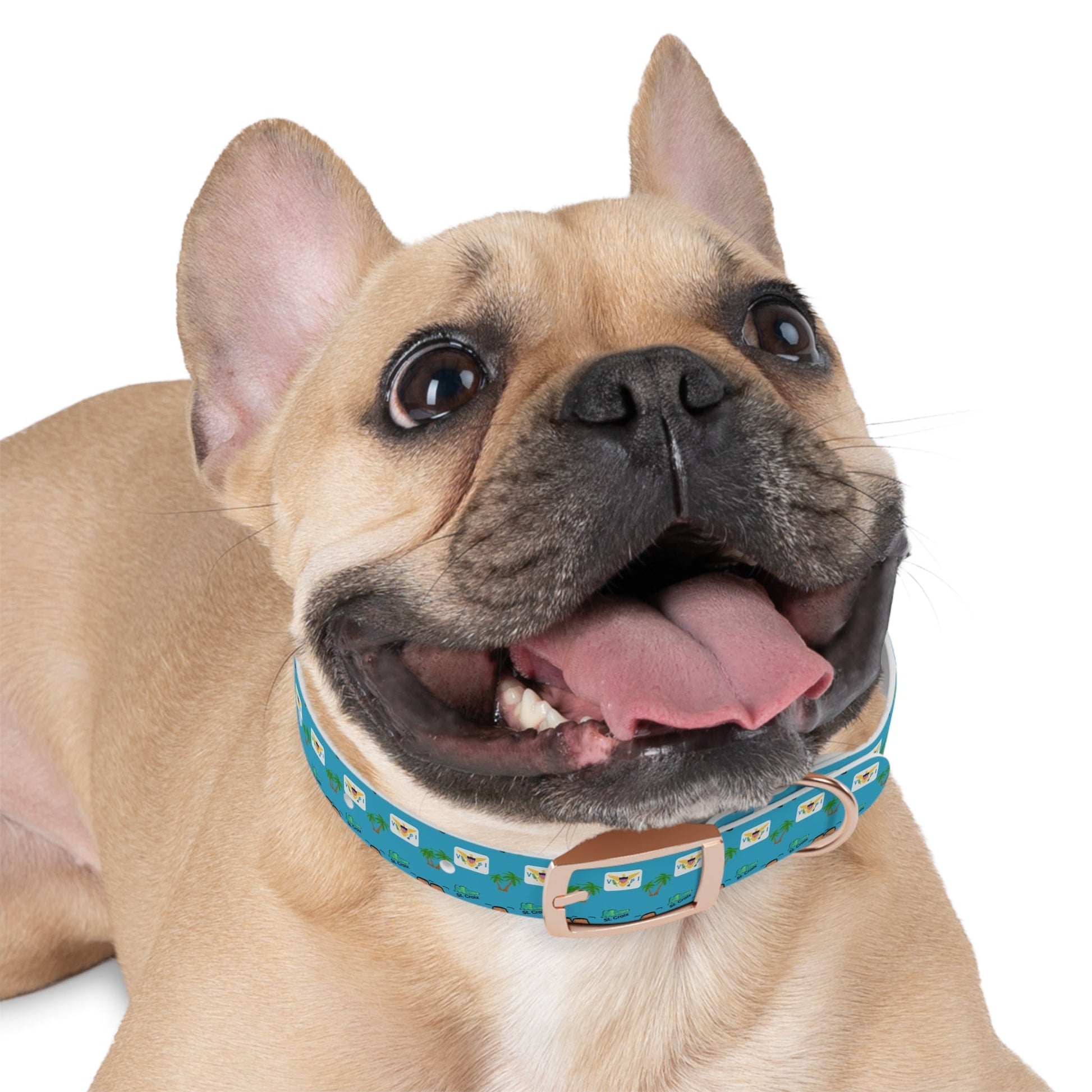 Crucian Creatures Pet Collar