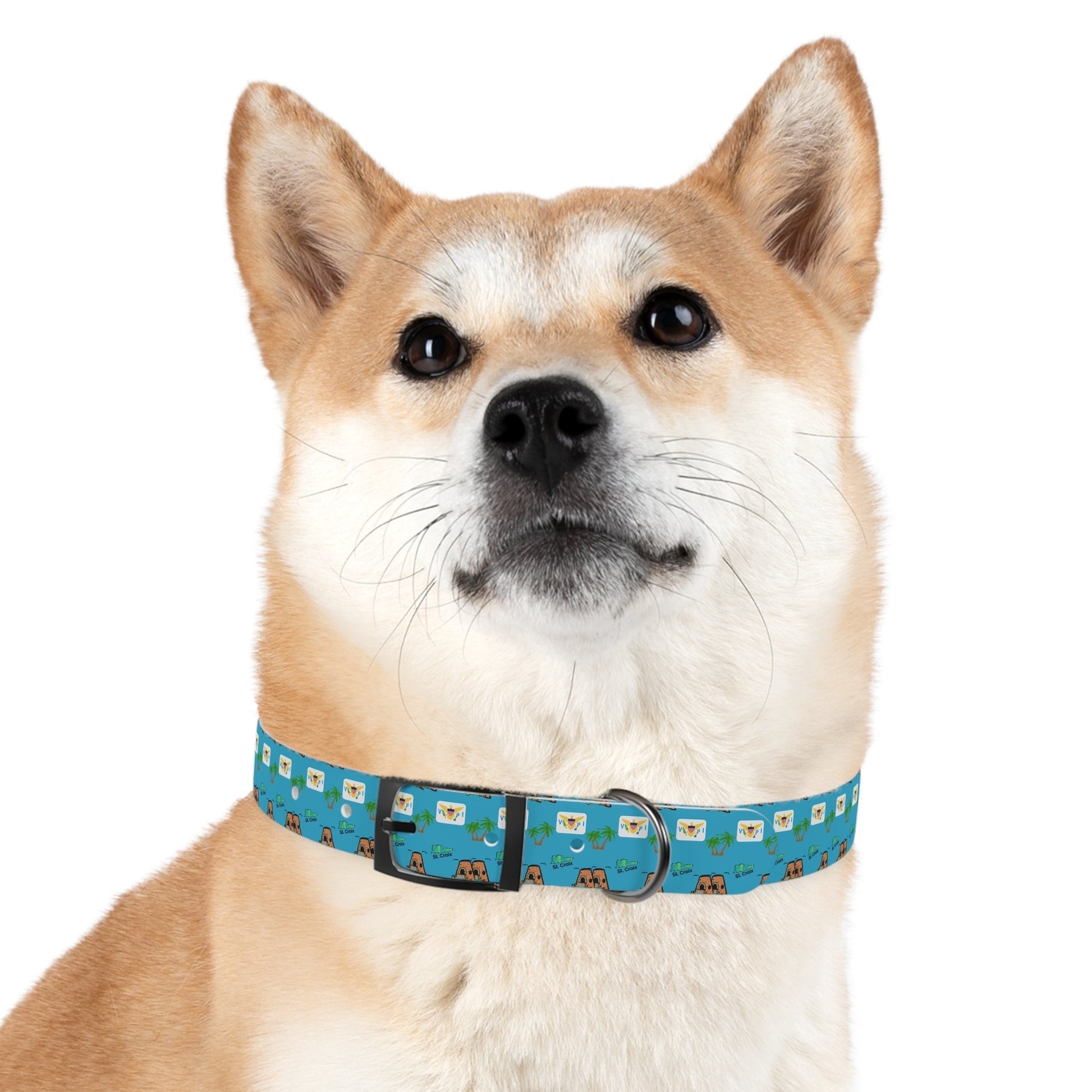 Crucian Creatures Pet Collar