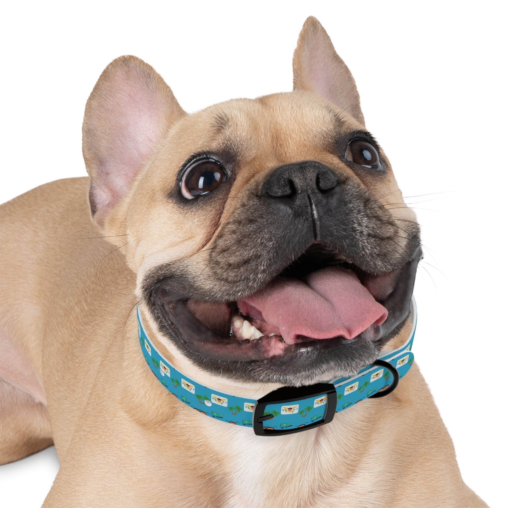 Crucian Creatures Pet Collar