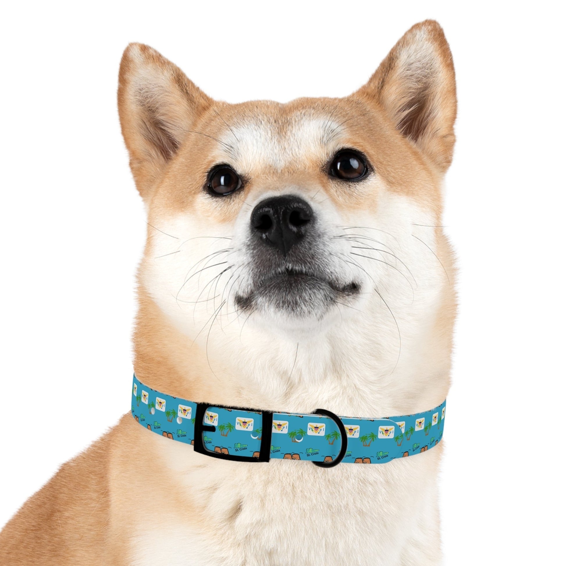 Crucian Creatures Pet Collar