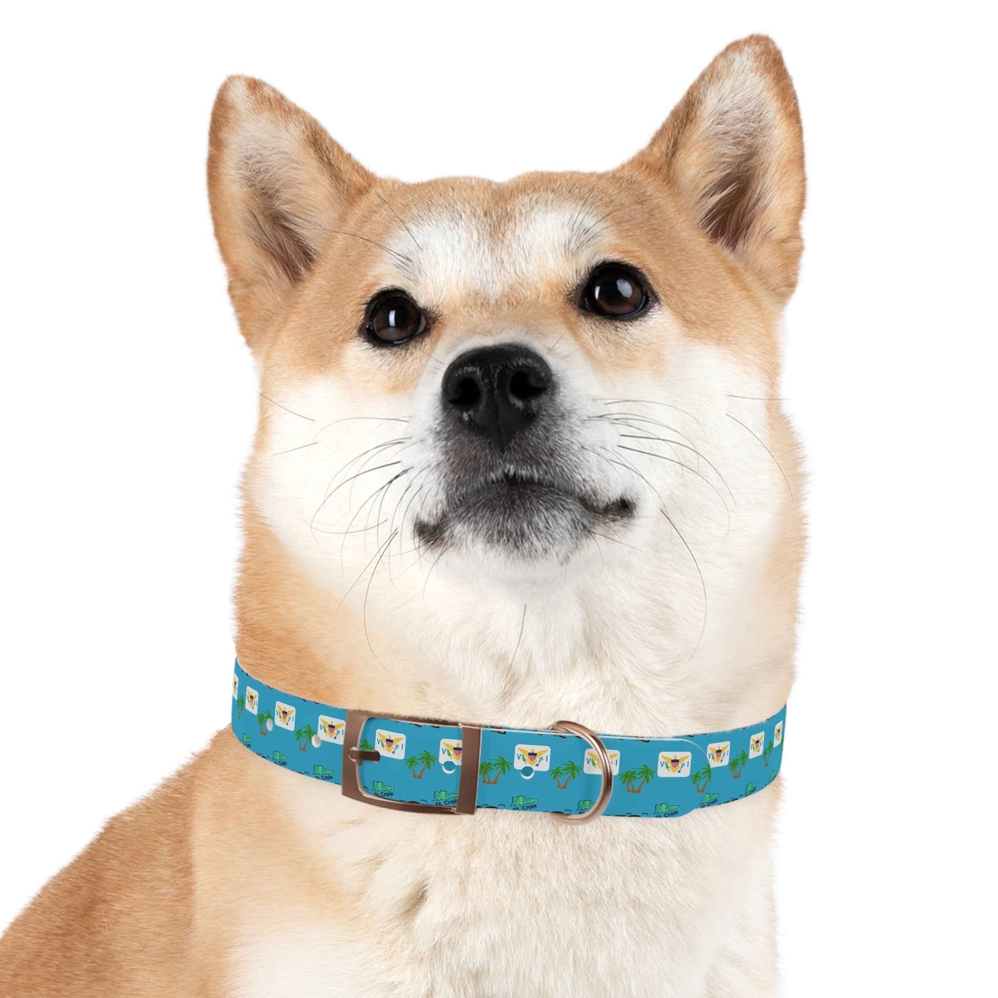 Crucian Creatures Pet Collar