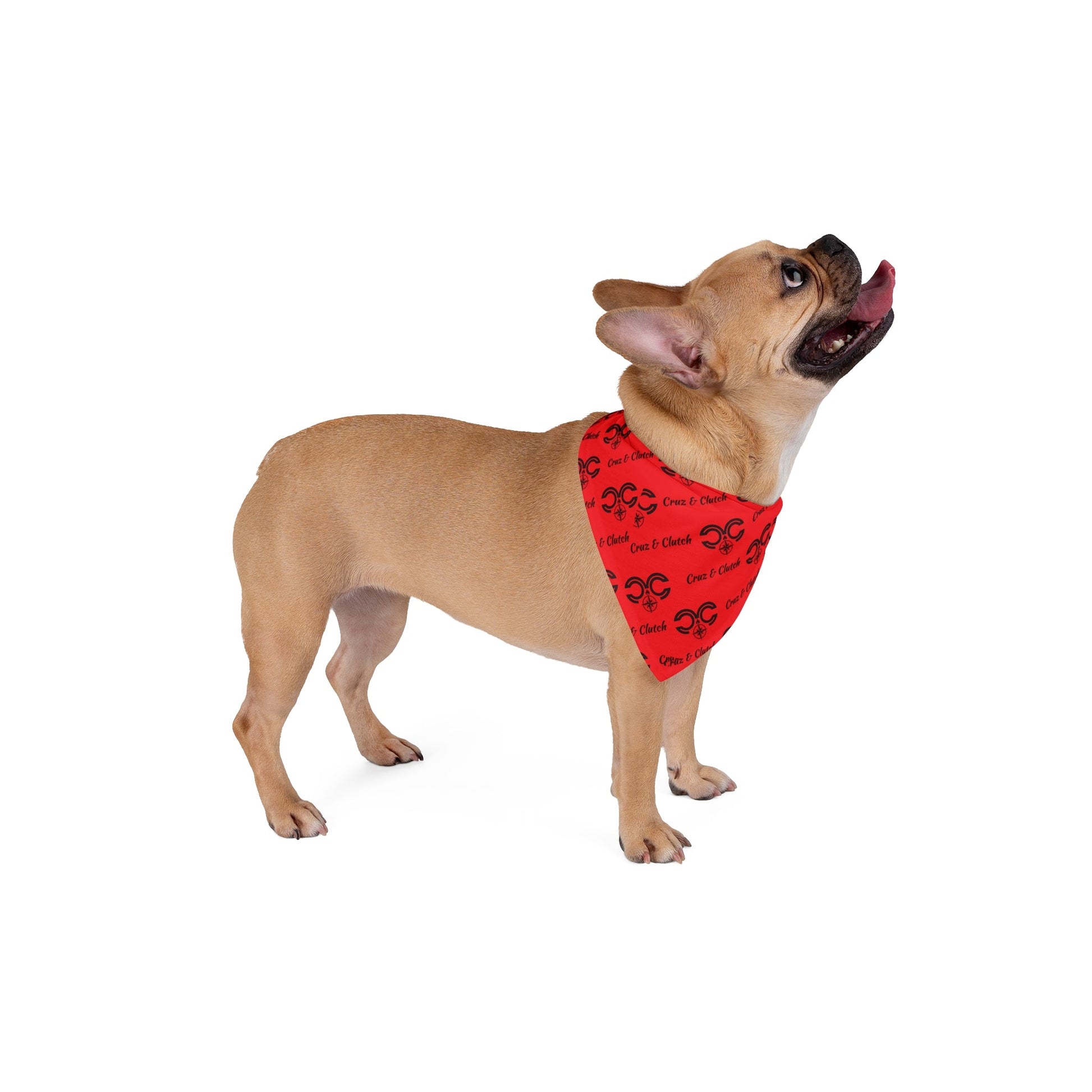 Cute Pet Bandana