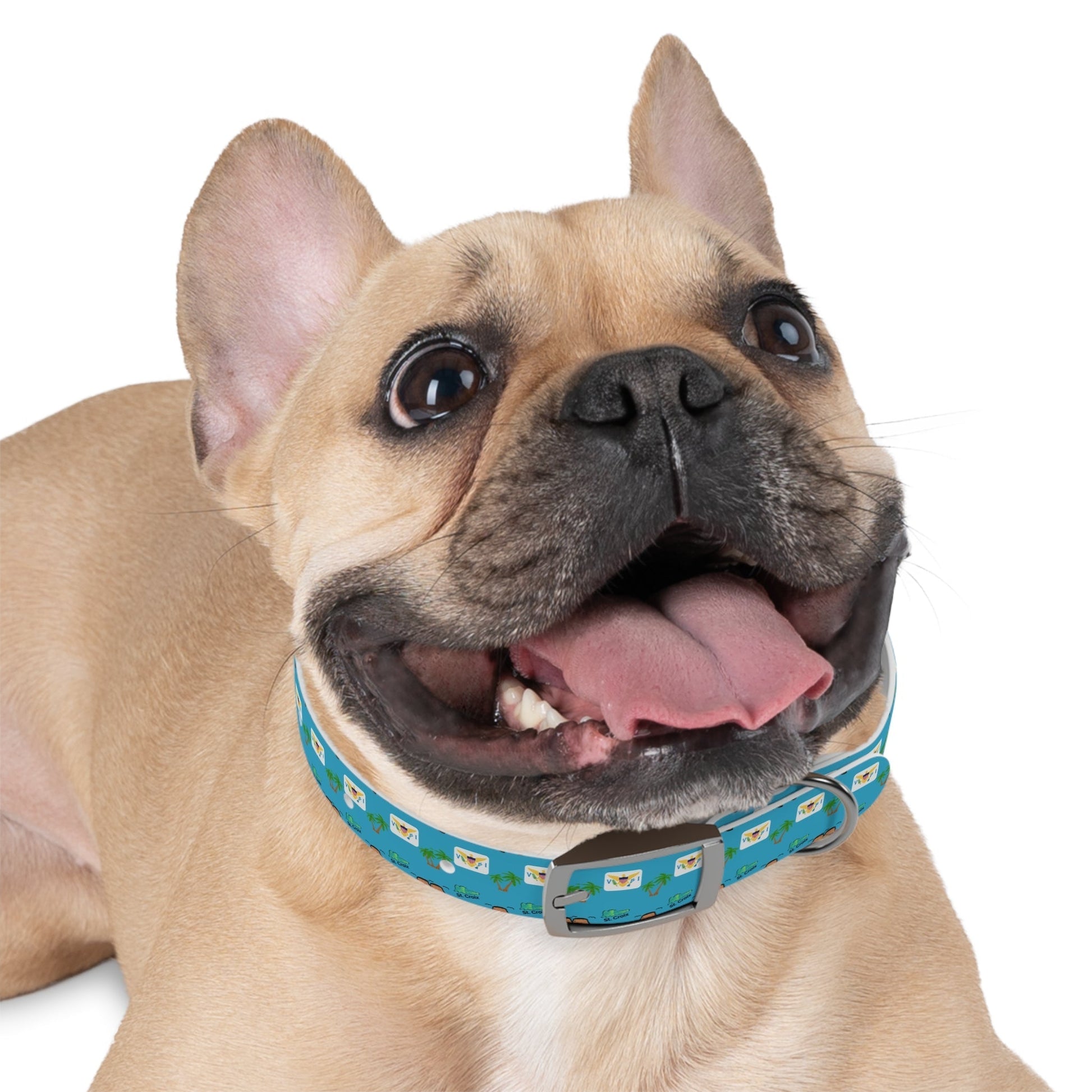 Crucian Creatures Pet Collar